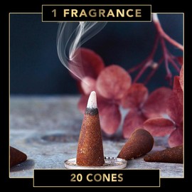 Fumino® Indian Spices Fresh Incense Cones 20 per Box Masala Agarbatti Joss Scent Fragrance for Relaxation and Meditation, Home and House Decor