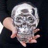 Mendler Decorative Skull HWC-T921, Polyresin Sculpture Skull, Indoor/Outdoor 18 cm,