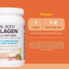 Natural Factors Péptidos Bioactivos Colágeno 500g Sfn