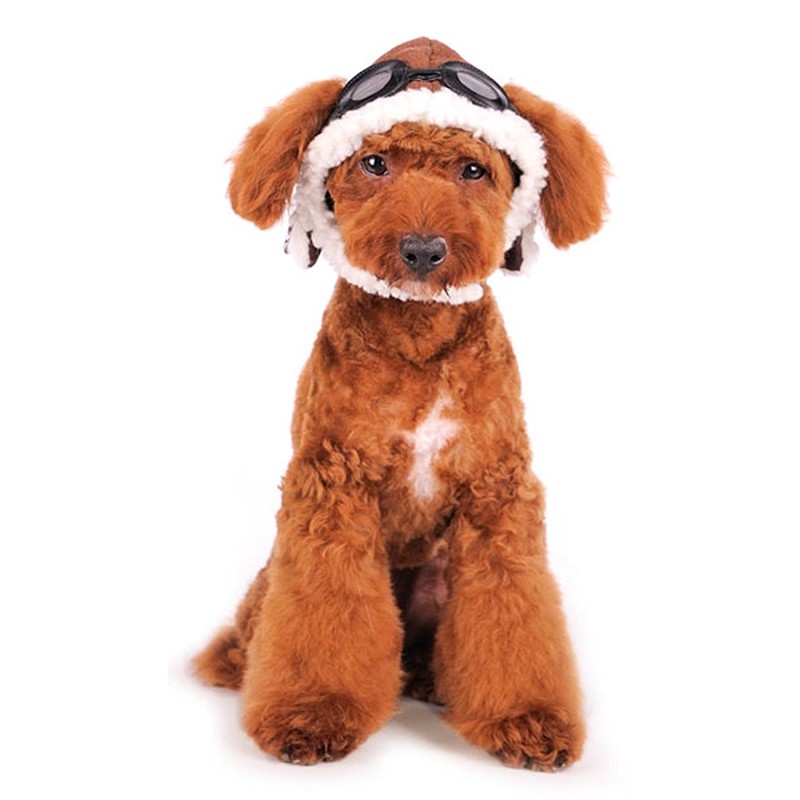 Dogo "Aviator" Hat For Cat Dog Puppy Pet (S)