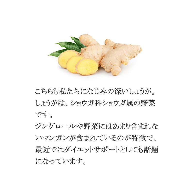Lipsa C-162-2 Garlic + Ginger, Approx. 3 Month Supply x