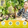 30Pcs Fruit Protection Bags Set, Reusable Fruit Netting Bags for