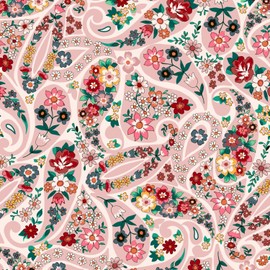 Vera Bradley Clamshell Eyeglass Case, Prairie Paisley (Sunglass Case)