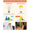 Neporal MagicGlow Rechargeable Light Bulbs with Remote – Battery Operated,