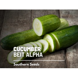 Southern Seeds Cucumber, Beit Alpha - Heirloom Seeds - NonGMO (Cucumis sativus)
