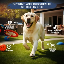 Healthy Dogma - Homestyle PetMix Dehydrated Lamb Dog Food - Clean Ingredient Food - No Preservatives, Homemade Dog Food (Homestyle PetMix with Lamb, 2 lbs)