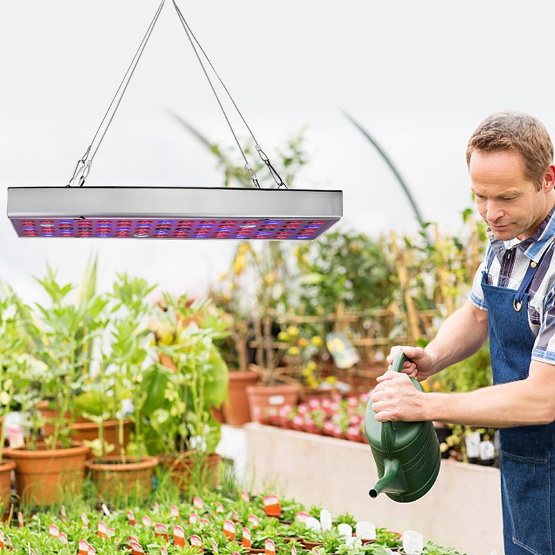 25W LED Plant Light Full Spectrum Plant Growing Seedling Lamp