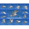 Edition Colibri Peace Dove Lenticular Postcard with Interchangeable Image /