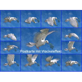 Edition Colibri Peace Dove Lenticular Postcard with Interchangeable Image / Flip Image (10203)
