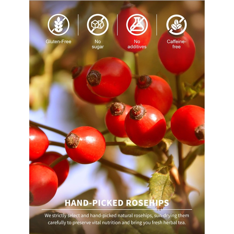 TeeLux Rose Hips Tea Bags, Fruity Flavor and Aroma, Caffeine-free,