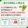 NIHON YAKKEN 金の青汁 (R) 18種の乳酸菌・5種のビフィズス菌 食物繊維 (30パック×2個) (糖類不使用/乳酸菌1,000億個配合/善玉菌) 純国産大麦若葉 農薬不使用