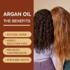 Aceite Acondicionador Marroquí Para El Cuidado Del Cabello,