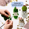 Crochet Positive Potato Emotional Support Pickle Succulent - Coworker Employee