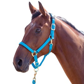 TOPAZ NYLON HEADCOLLAR: BLUE: XX SMALL PONY