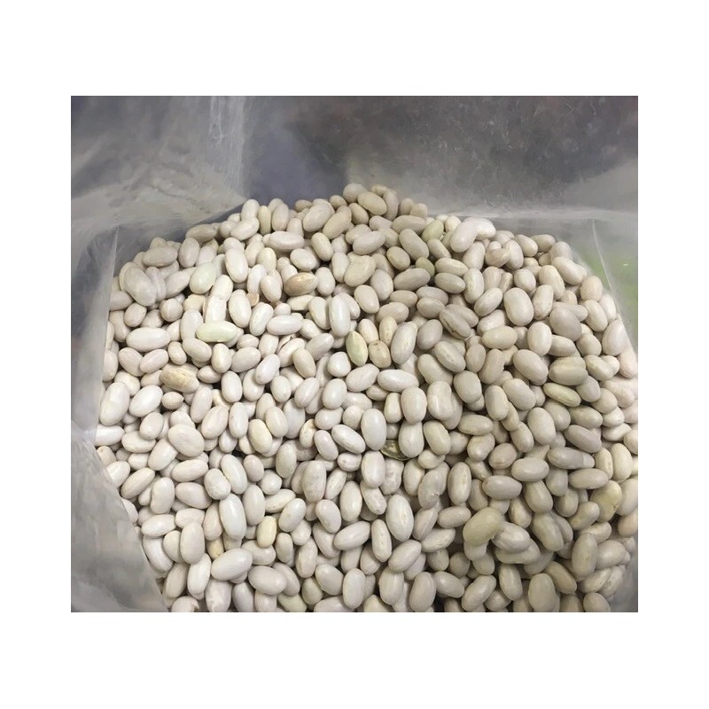 Heirloom Roma II OP Bush Bean Seeds Non GMO Stringless