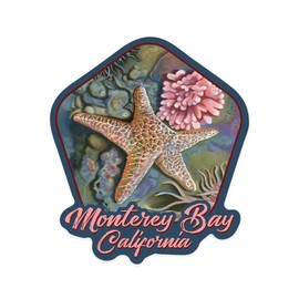 Die Cut Sticker Monterey Bay, California, Tidepool, Vinyl Sticker 3 to 6 inches, (Waterproof Decal for Cars, Water Bottles, Laptops, Coolers), Large