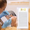 Ready-to-Use Fan Eyelash Extensions, 4D-D-0.10-12, Eyelash Fans, Soft, 4D, 6D,