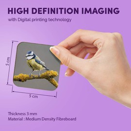 1 x Square MDF Fridge Magnet - Blue Tit Bird Small English Garden Birds 16226