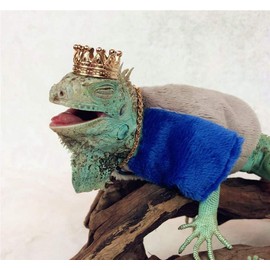 Lizard Necklace Lizard Clothes Accessories Gold Alloy Neck Chain Reptile Cool Stylish Costume Photo Props Party Lizard Clothes for Bearded Dragons Leopard Gecko Iguana Amphibians (Necklace)