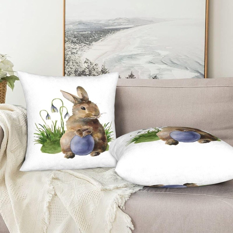 HOYYU Easter Egg Bunny Throw Pillow Covers 18x18 Set of