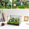 Glass Plants Terrarium with Lid,Rectangle Black Pot Box for Indoor