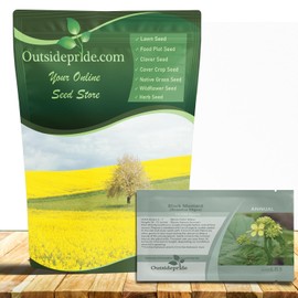 Outsidepride Black Mustard Seeds - 5000 Pcs Nutrient-Rich, Flavorful Annual Microgreen Seeds for Planting, Easy-to-Grow, Ideal for Indoor & Outdoor Cultivation, Soil & Hydroponic Systems