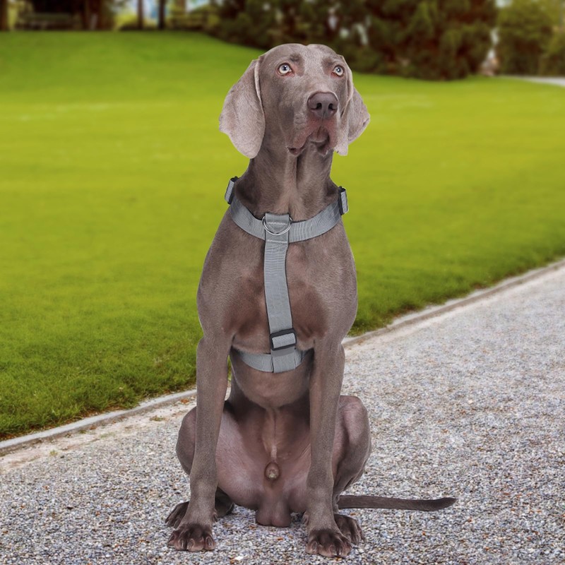 No Pull Dog Harness, Heavy Duty Tactical Dog Harness, Adjustable