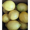 Fresh Organic Lemons from California - Unsprayed Chemical-Free - 2