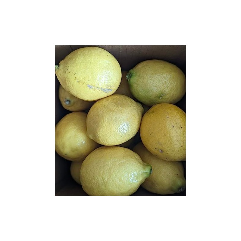 Fresh Organic Lemons from California - Unsprayed Chemical-Free - 2
