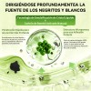 Lanbena Mascarilla Facial Puntos Negros30g Pzs Papel Todo Tipo Piel