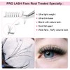 Fan Eyelash Extensions, 5D-C-0.07-14, Short, Ready-Made Volume Eyelashes, 0.07 C