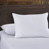 Royal Hotel Soft Goose Feathers and Goose Down Pillow -