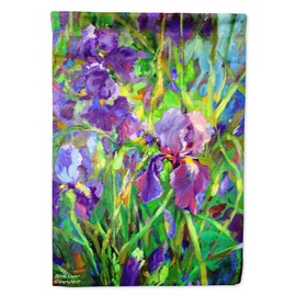 Caroline's Treasures PJC1045CHF Iris by The Well Flag Canvas House Size, Large, Multicolor