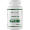 BD Cordyceps | 90 Cordyceps Capsules High Dose - 600mg