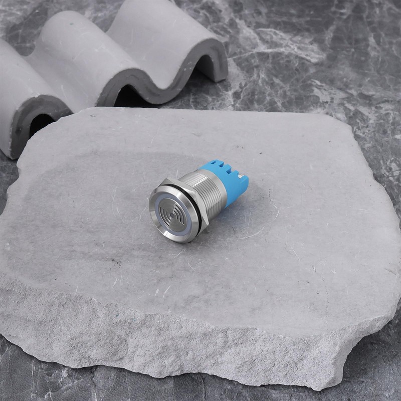 ECSiNG 2x12V 19mm Waterproof Flash Buzzer LED Flash Alarm Intermittent