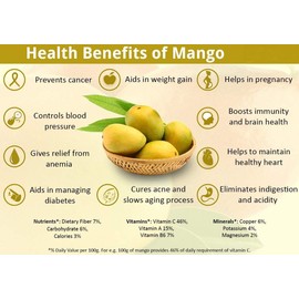 Amphora Dried Organic Mango Healthy Fruits Snack Vegan Kosher Gluten Free 3 oz - 85 gr per Pack (Pack of 6)