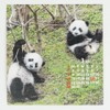 Greeting Life 2026 Calendar Panda FD C-1693-PA