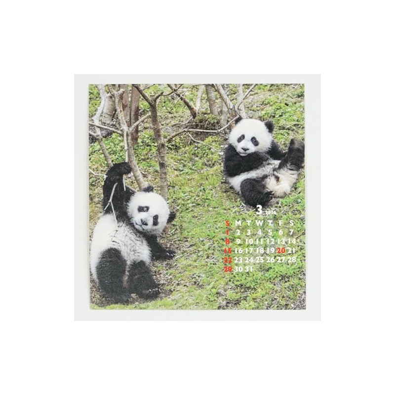 Greeting Life 2026 Calendar Panda FD C-1693-PA
