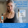 HZZYPLANT Creatine Monohydrate Liquid Drops