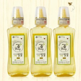 Gangwon Beekeeping 허니드림 사양벌꿀 500gx3통/튜브 Honey Dream Natural Bee Honey 500g x 3 Tubes