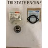 Kubota GENUINEOEM KUBOTA THERMOSTAT & GASKET 15531-73014 16851-73270 D722 DF752