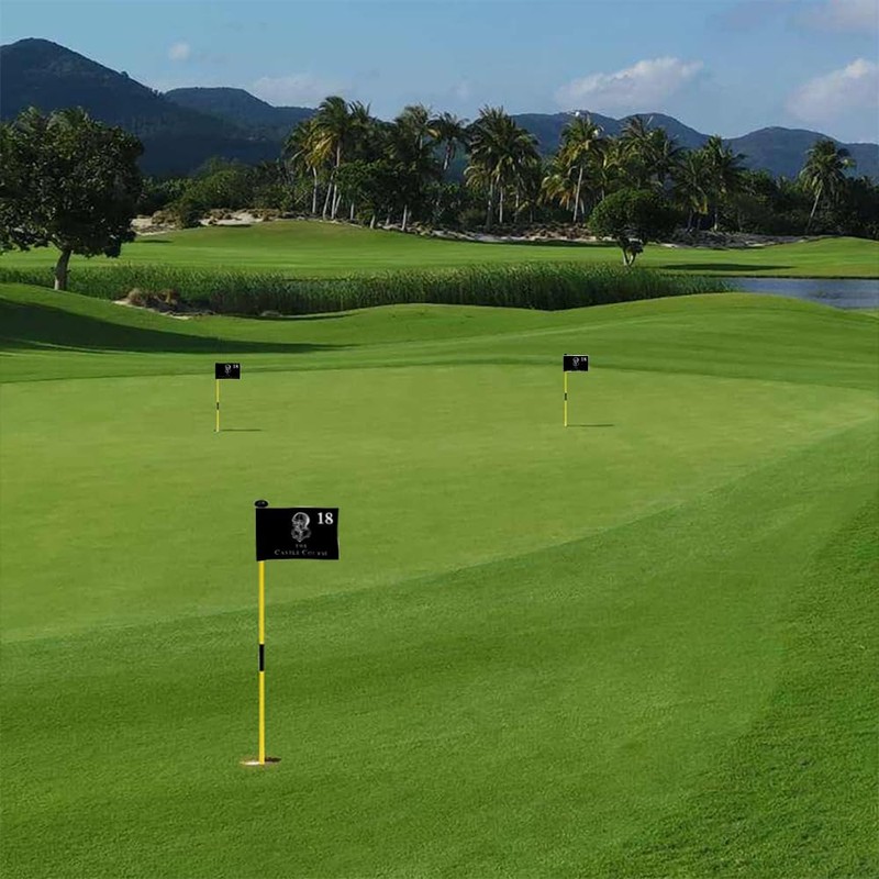 2BUT The Castle Course Golf Pin PGA Flag Practic Putting
