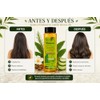 Shampoo Botánico para Todo Tipo de Cabello 400 ml (Fino)