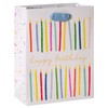 Papyrus 9" Birthday Gift Bag, Happy Birthday Candles (1 Bag)