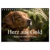 Herz aus Gold - Retriever zum Verlieben (Tischkalender 2026 DIN