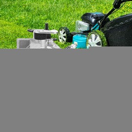 Briggs Stratton 494392 494502 495706 496592 498027 498231 499161 799728 Lawnmower Carburetor Kit for Briggs & Stratton