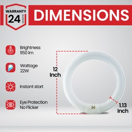 Bulbmaster FC12T9/CW 32 Watts 12 Inch Round T9 Fluorescent Circular Light Bulb, Cool White 4100K, FC12T9 2100 Lumens G10Q 4-Pin Base 32W Circline Ceiling Lights