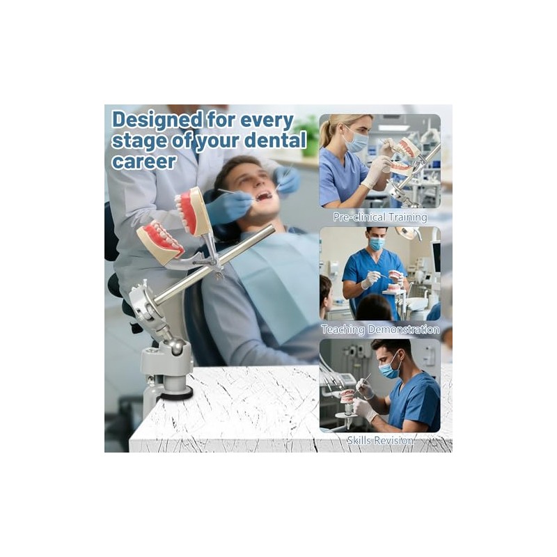 Typodont - Soporte de entrenamiento para modelo de dientes de