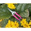 FloraBrite Pink Flower/Fruit Snip By Burgon & Ball