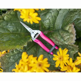 FloraBrite Pink Flower/Fruit Snip By Burgon & Ball